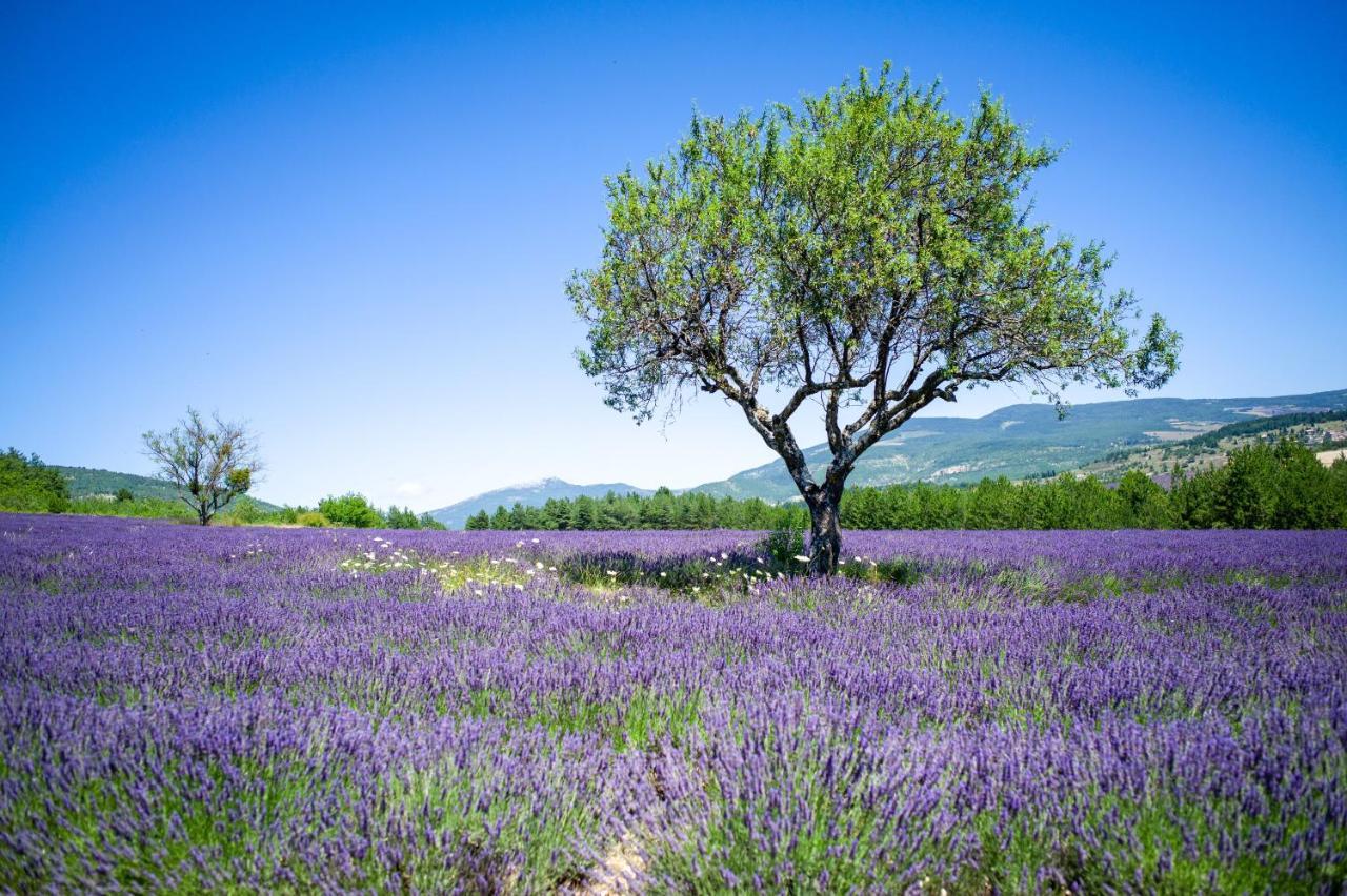 Le Claux Du Puits By Ateya Vacances Saint-Trinit ภายนอก รูปภาพ